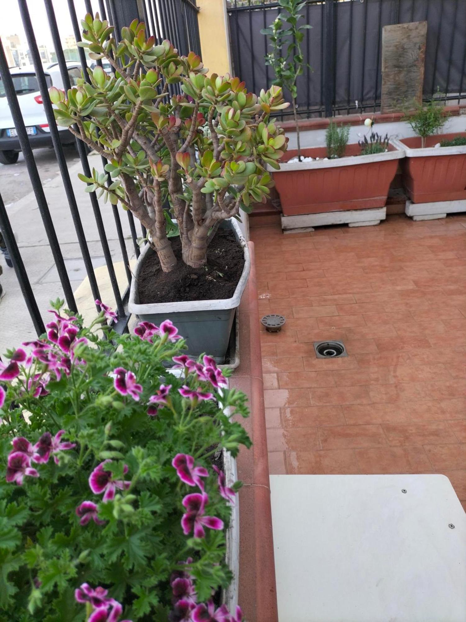 Apartamento Ciuridda Mia Palermo Exterior foto